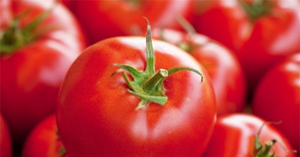 nhung cach bao quan rau qua tuyet dinh ma ba noi tro nao cung nen biet - 6