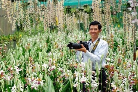 vườn lan, hoa lan, lan quý, lan rừng