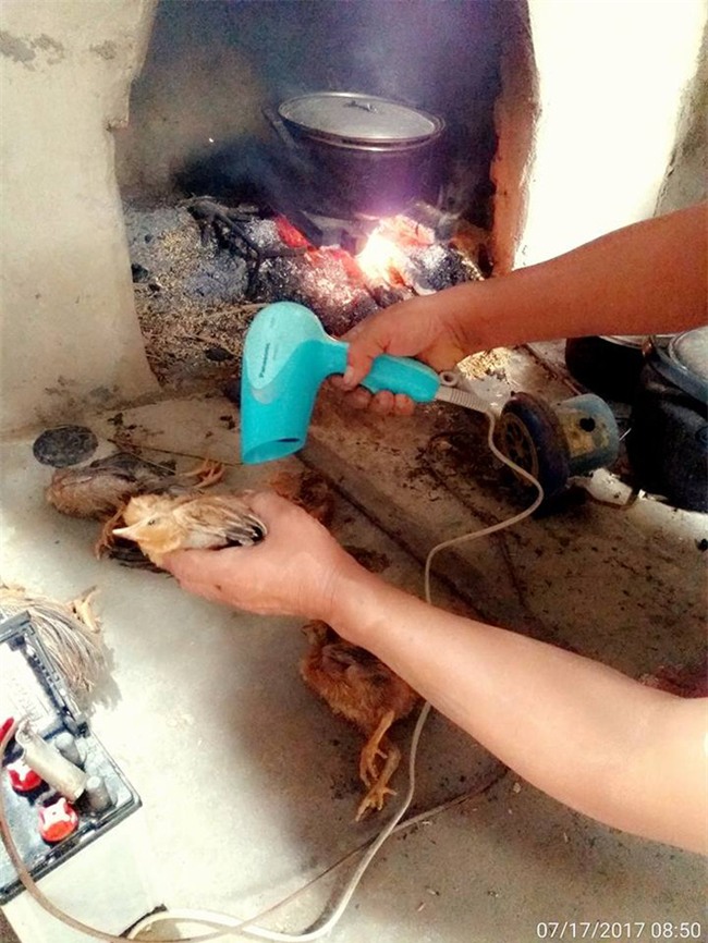 Ai sắp cưới nhớ xem dự báo thời tiết, đừng đi xem thầy bói để rồi sập rạp mất nóc không ai đền! - Ảnh 10.