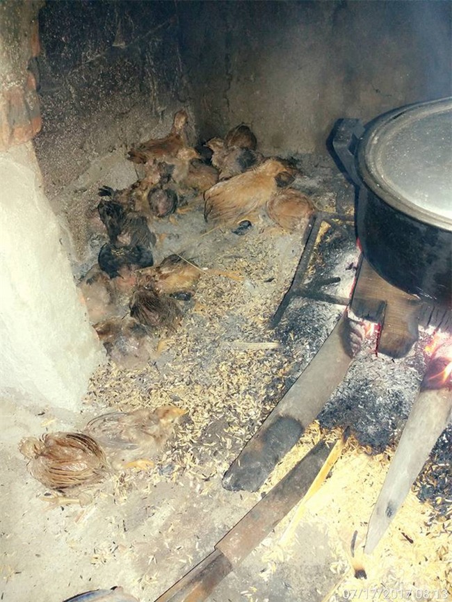 Ai sắp cưới nhớ xem dự báo thời tiết, đừng đi xem thầy bói để rồi sập rạp mất nóc không ai đền! - Ảnh 11.