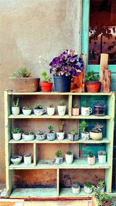 Đi vắng, chủ nhà nghỉ đặt biển thông báo trước cửa khiến bao du khách ngẩn ngơ - Ảnh 7.