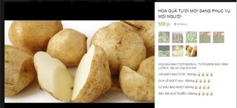 vải thiều, tía tô, nông sản Việt, chổi chít, amazon, nông sản xuất khẩu