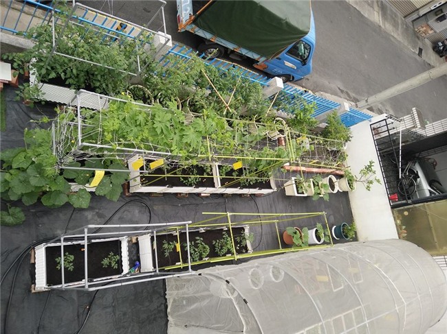 me viet xu dai don noi nho nha vao viec trong vuon rau 