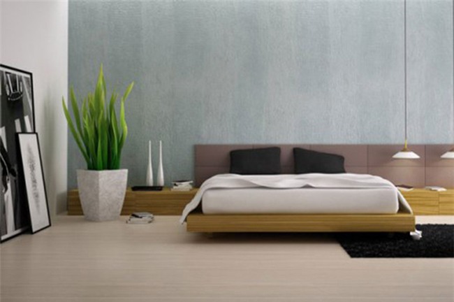 cay luoi ho: loai cay loc doc to cuc tot, duoi van xui, hut tai loc ma ai cung muon trong - 4