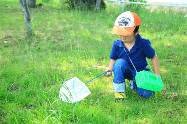 Thích thú với cách người Nhật dùng côn trùng làm giáo cụ dạy trẻ - Ảnh 1.