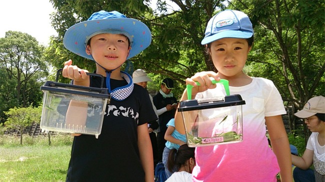 Thích thú với cách người Nhật dùng côn trùng làm giáo cụ dạy trẻ - Ảnh 2.