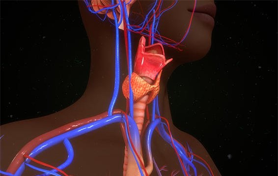 3 bệnh tiềm ẩn là thủ phạm khiến da bạn bị khô, ngứa, bong vảy... - Ảnh 3.
