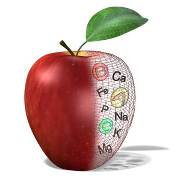 top 3 thuc pham tot nhat de tang chieu cao - 4