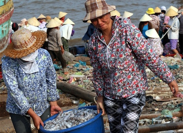 Sự thật về loại mực khô 2.000 đồng/con bán online tràn lan gây bão mạng xã hội những ngày qua? - Ảnh 6.