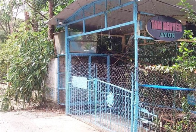 tôm hùm, gia vị, cá trắm đen, lươn vàng, phở, cua biển, đường hóa học, thực phẩm bẩn, thịt lợn