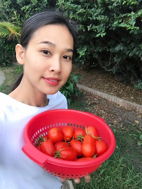 thich me vuon rau trai "an mai khong het" cua hoa hau duong my linh tren dat my - 1