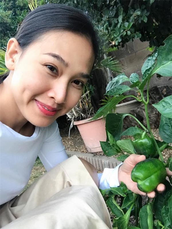 thich me vuon rau trai "an mai khong het" cua hoa hau duong my linh tren dat my - 3