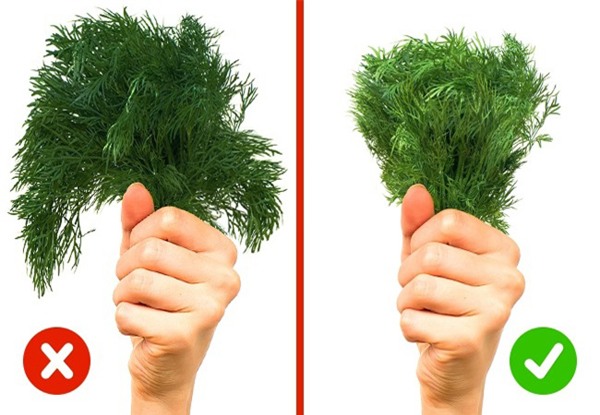 meo chon thuc pham tuoi ngon giup ban thanh dau dam trong mat me chong - 7