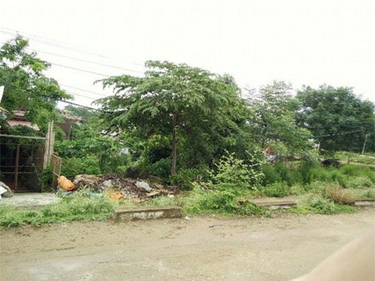 Cả nhà hàng xóm xông ra chém, đánh tàn nhẫn vợ chồng lớn tuổi - 4