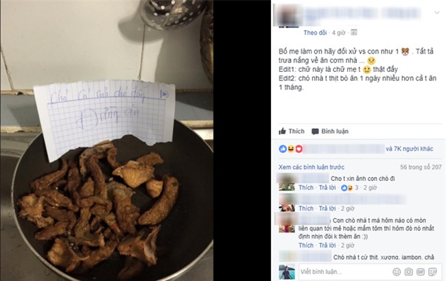 Vào bếp tìm cơm ăn, thấy dòng thư mẹ viết, cô gái trẻ đau lòng nhận ra mình không bằng một... con cún - Ảnh 1.