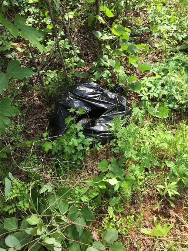 Thấy túi bóng đen cựa quậy bất thường bên đường, hai cô gái dừng xe lại xem và phát hiện ra... - Ảnh 1.