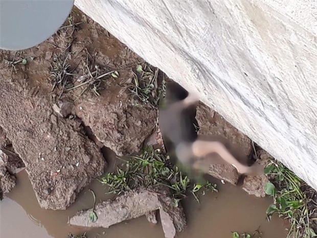 Phát hiện thi thể cô gái trẻ dưới chân cầu sau 1 tuần mất tích - Ảnh 2.