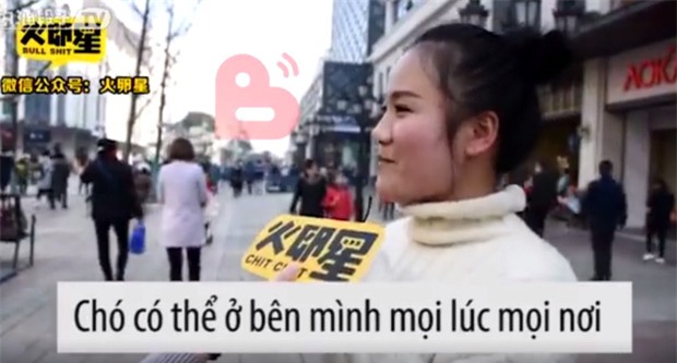 Bạn chọn đi, em cún nuôi 10 năm hay người yêu 1 năm? - Ảnh 7.