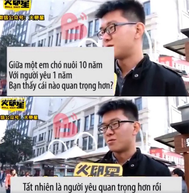 Bạn chọn đi, em cún nuôi 10 năm hay người yêu 1 năm? - Ảnh 11.