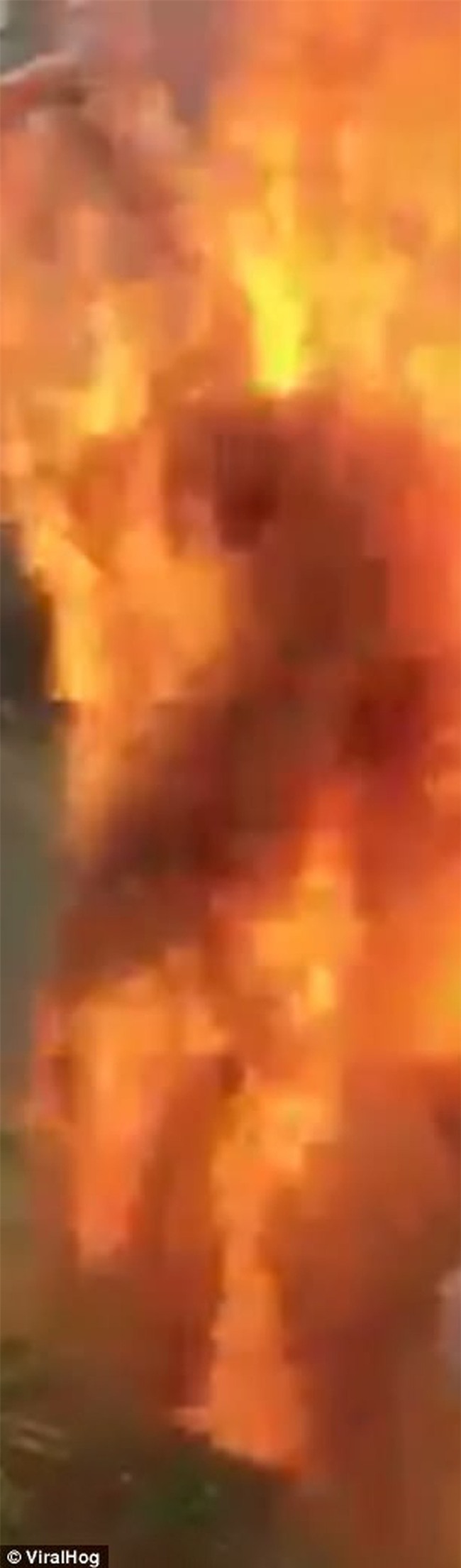 Bị bạn bè trói và ném gia vị vào người, chàng trai trẻ bất ngờ bốc hỏa rồi ngã vật xuống đất - Ảnh 3.