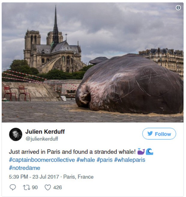 Cá voi khổng lồ phơi nắng giữa lòng Paris khiến người dân và du khách vô cùng kinh ngạc - Ảnh 1.