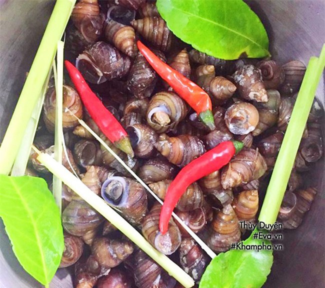 mat troi ca nha si sup dia oc luoc an kem bun cham dam da, dan da - 2