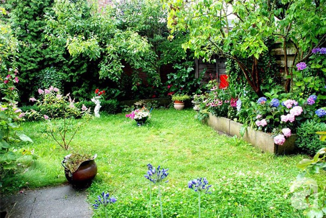 Khu vườn hoa nở suốt bốn mùa đẹp như trong mơ của đạo diễn Nguyễn Hải Anh - Ảnh 3.