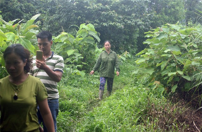 chuyen la: gia dinh tuyet giao voi the gioi ben ngoai gan 20 nam - 4