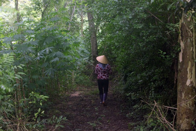 chuyen la: gia dinh tuyet giao voi the gioi ben ngoai gan 20 nam - 5