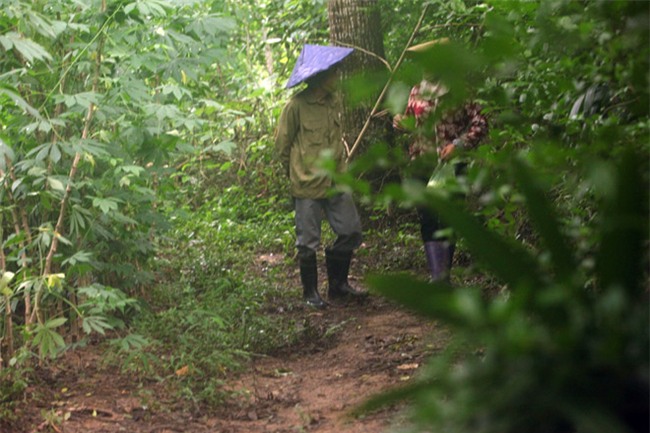 chuyen la: gia dinh tuyet giao voi the gioi ben ngoai gan 20 nam - 8