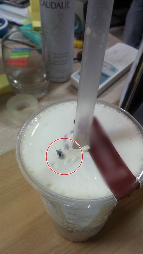 Đà Nẵng: Khách hàng phản ánh cốc trà sữa Gong Cha có ruồi, đại diện cửa hàng lên tiếng - Ảnh 3.