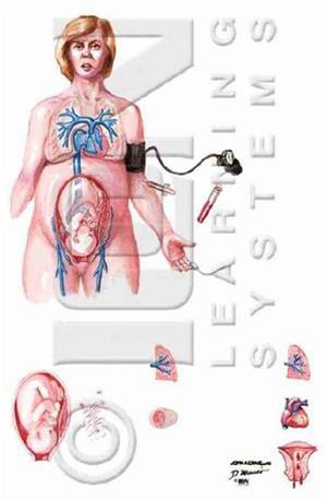 tac mach oi - tai bien san khoa nguy hiem, kho luong - 2