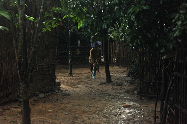 giap mat voi gia dinh “nguoi rung” tuyet giao voi ben ngoai trong khu vuon ki bi - 10