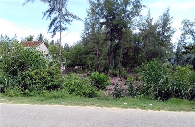 đất ven biển, Tam Kỳ, Quảng Nam, sốt đất, người Trung Quốc