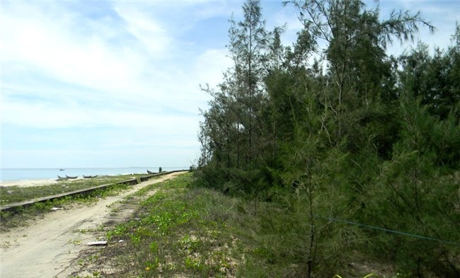 đất ven biển, Tam Kỳ, Quảng Nam, sốt đất, người Trung Quốc