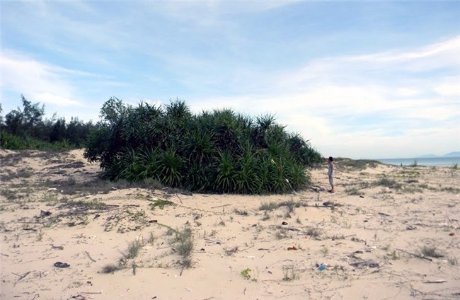 đất ven biển, Tam Kỳ, Quảng Nam, sốt đất, người Trung Quốc