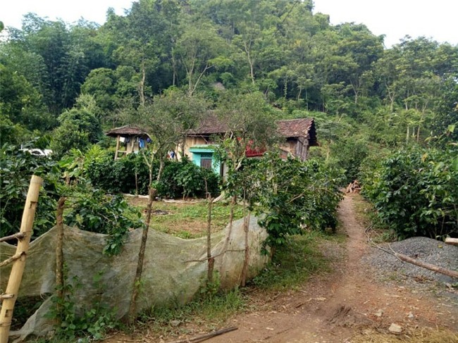 bệnh lạ, Sơn La