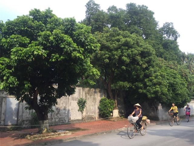 hoa quả Trung Quốc, đội lốt, hàng Tàu, thực phẩm bẩn