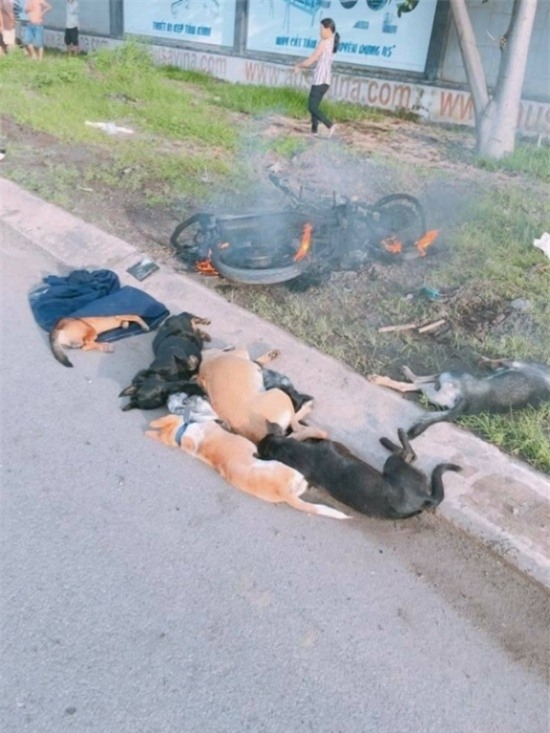 20374698_1532997716767786_8433688790190245108_n