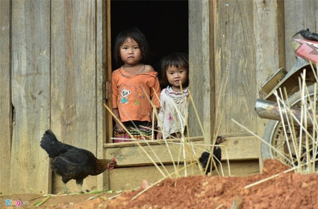 gà xương đen, quà quý, nuôi gà, thịt gà