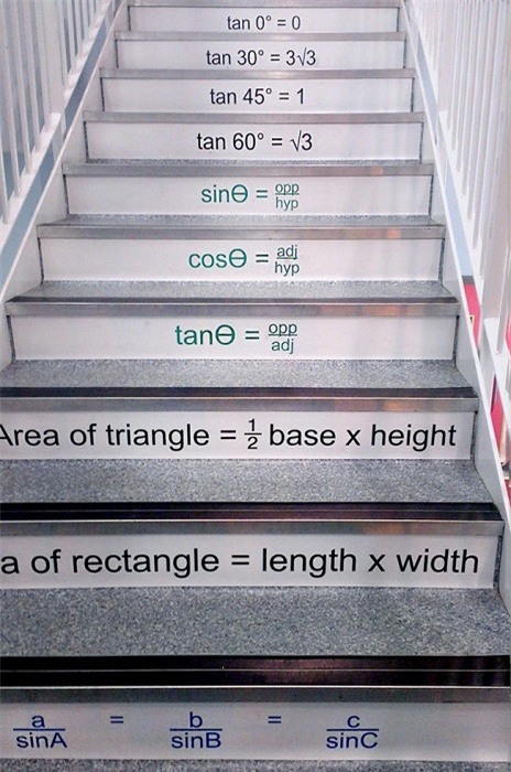 Những ngôi trường cha mẹ nào cũng mong muốn con mình được học tập tại đó - Ảnh 15.