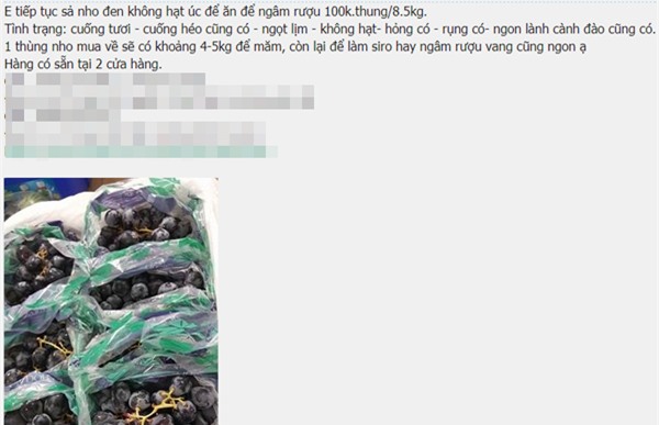 Hà Nội: Sau nho móng tay, lại xuất hiện nho đen không hạt giá siêu rẻ, chỉ 4.000 đồng/kg - Ảnh 2.