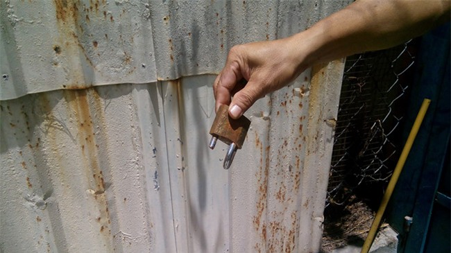 Chu nha bi can bo be khoa: 'Sao chi bat ga Dong Tao, de lai bo cau?' hinh anh 1