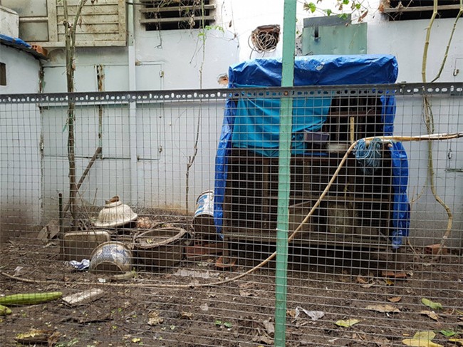 Chu nha bi can bo be khoa: 'Sao chi bat ga Dong Tao, de lai bo cau?' hinh anh 2