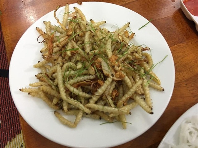 Sâu tre có giá bán nửa triệu đồng/kg nhưng không phải lúc nào cũng có hàng