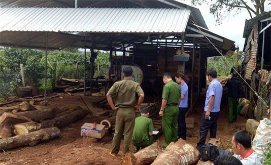 Thanh nien 22 tuoi bi may cua go cat doi co the hinh anh 1