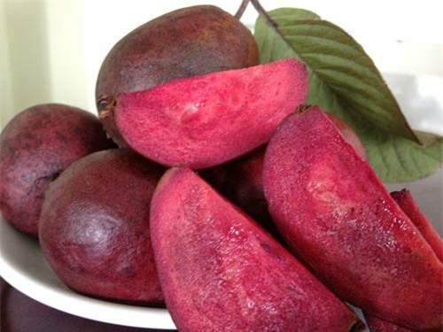 ổi tím, hoa quả nhập nhẩu,