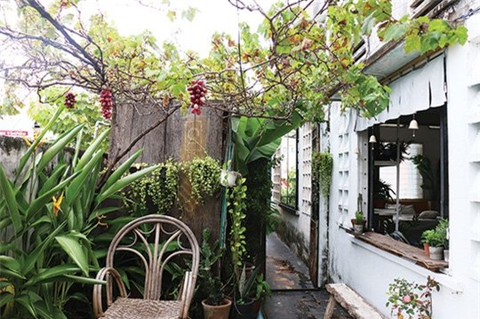 dịch vụ lạ, làm giàu, làm thêm