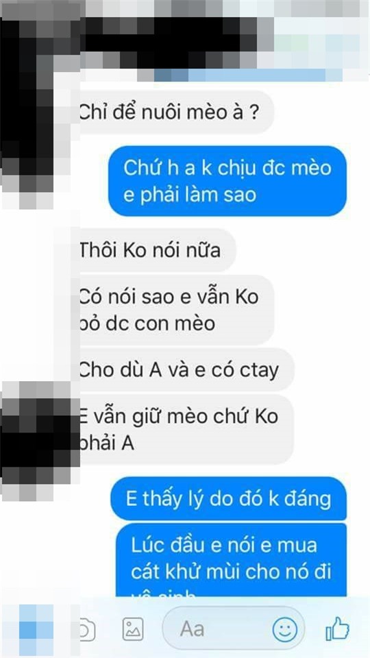 Không chịu được mèo của người yêu, chàng trai quyết định chia tay - Ảnh 2.