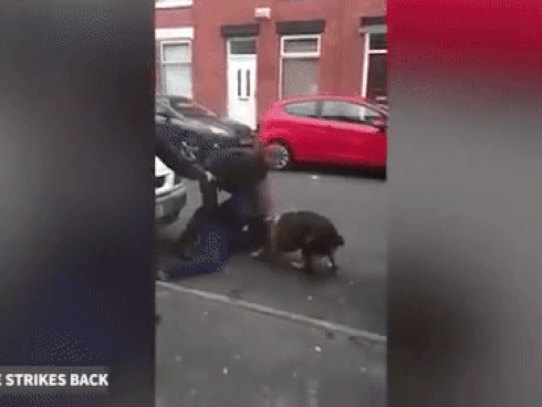 Tên tội phạm 'lầy' nhất năm: Cắn lại cho nghiệp vụ khi bị truy đuổi-1